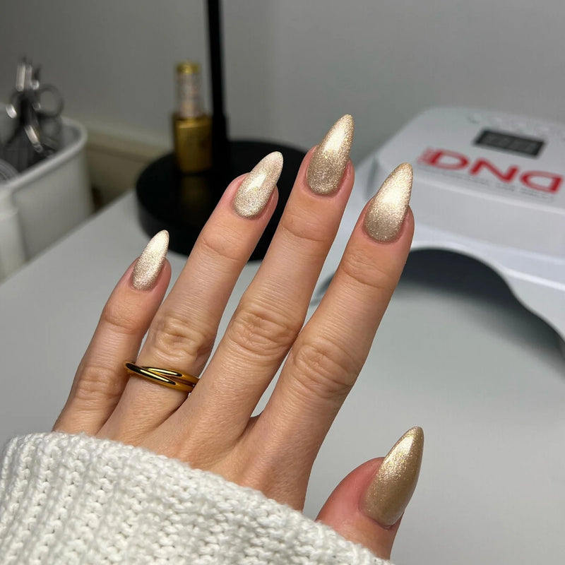 Diva 9D Cat Eyes Collection Daydream Set 12 colors #25 - #36 GEL ONLY