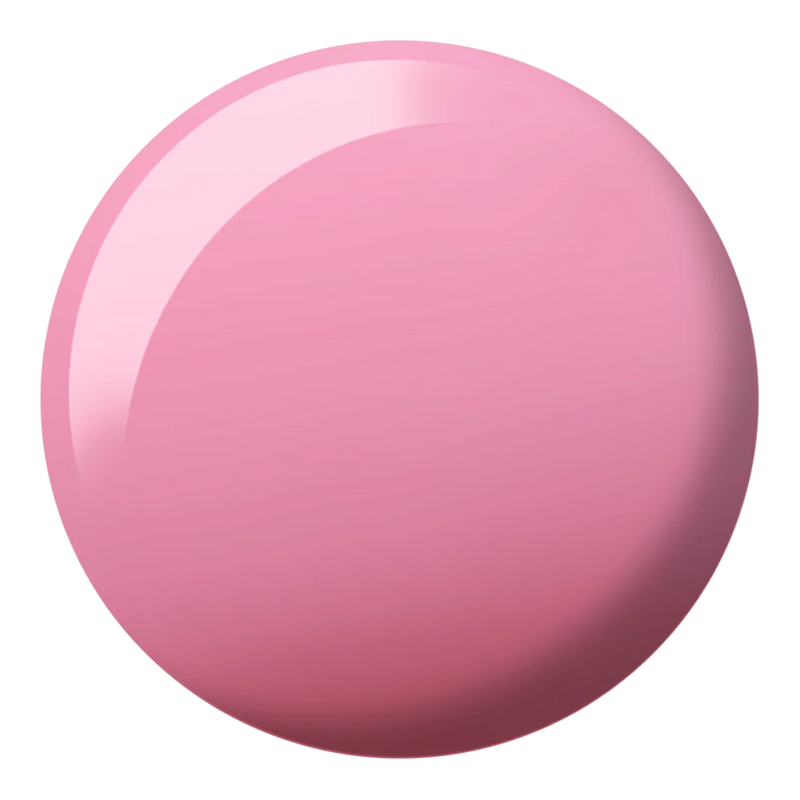 DIVA Duo DV172 Where’s My Beret?