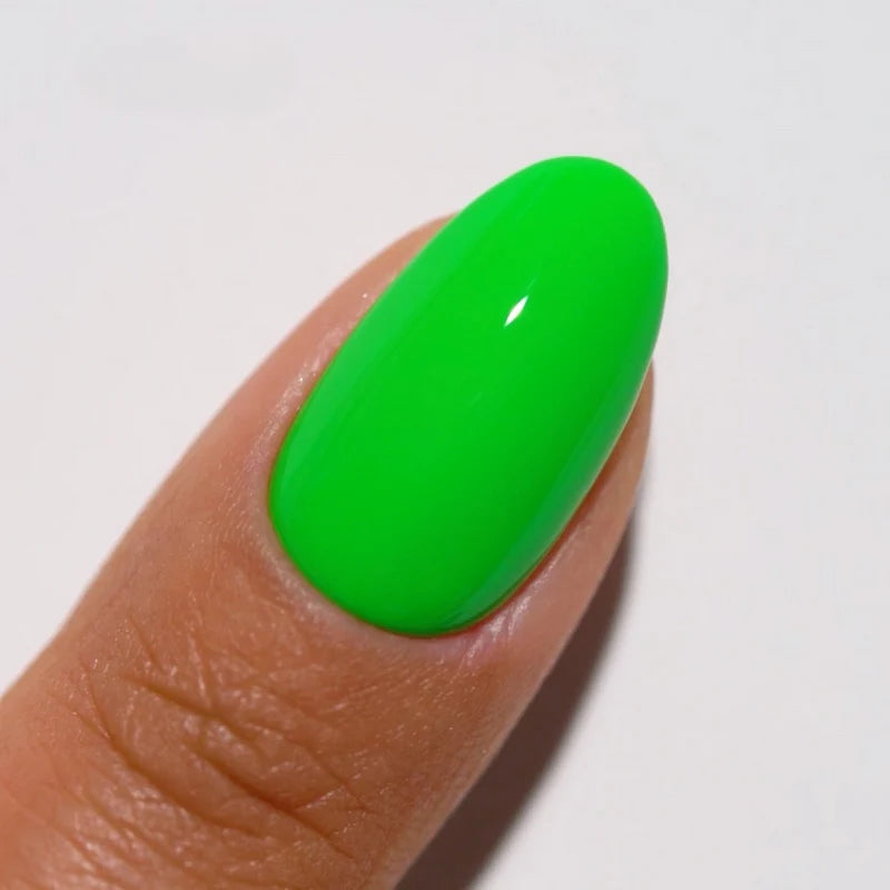 DIVA Duo DV191 Lizard State