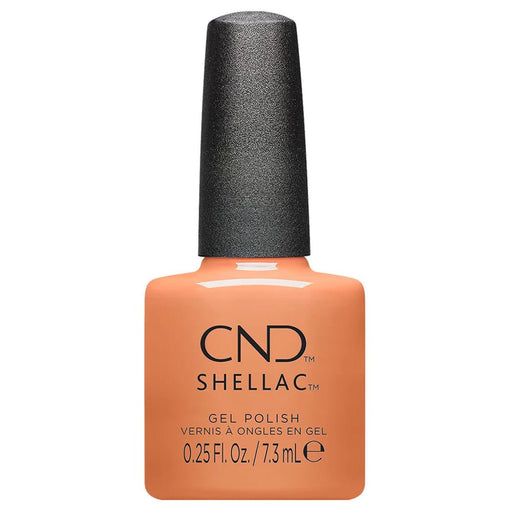 CND Shellac 104 Daydreaming - Angelina Nail Supply NYC