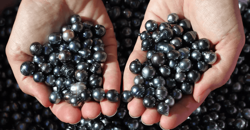 Dream Black Pearl Mini Pack Capsule Kit(box/100pcs) - Angelina Nail Supply NYC