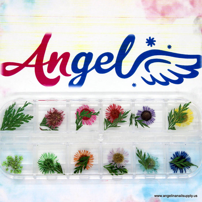 Dry Flower #14 - Angelina Nail Supply NYC
