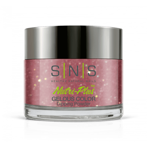 SNS Dip Powder WW13 Secret Santa - Angelina Nail Supply NYC